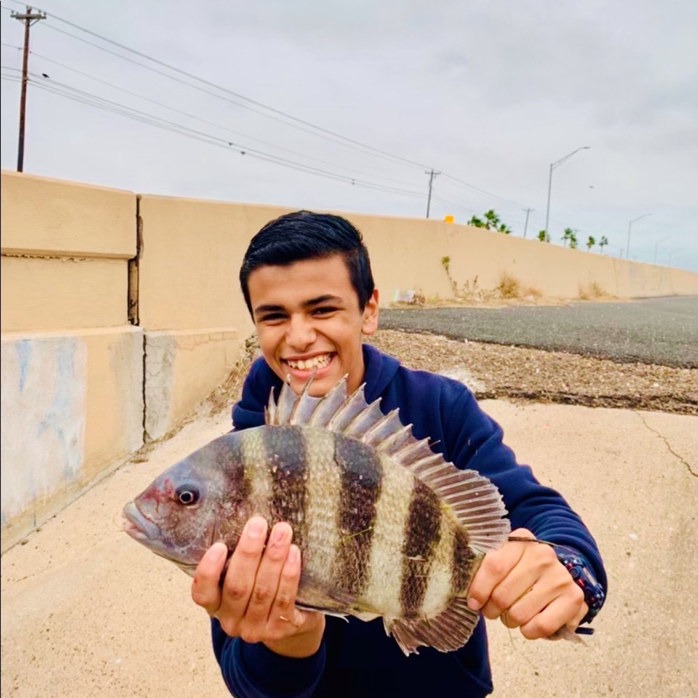 Meet your Posher, Andy